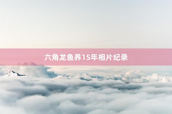 六角龙鱼养15年相片纪录