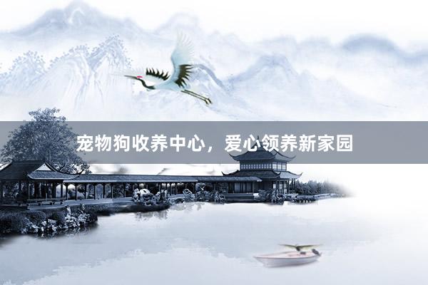 宠物狗收养中心，爱心领养新家园