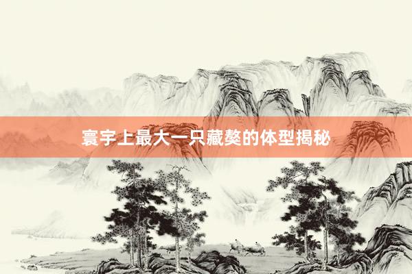 寰宇上最大一只藏獒的体型揭秘